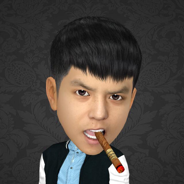 小辉辉《王者荣耀》