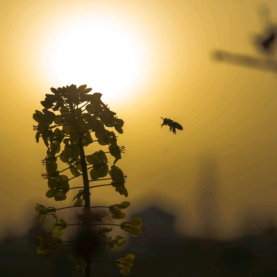 快乐住科技建房 | 小明