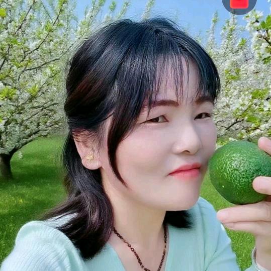 几朵菊花