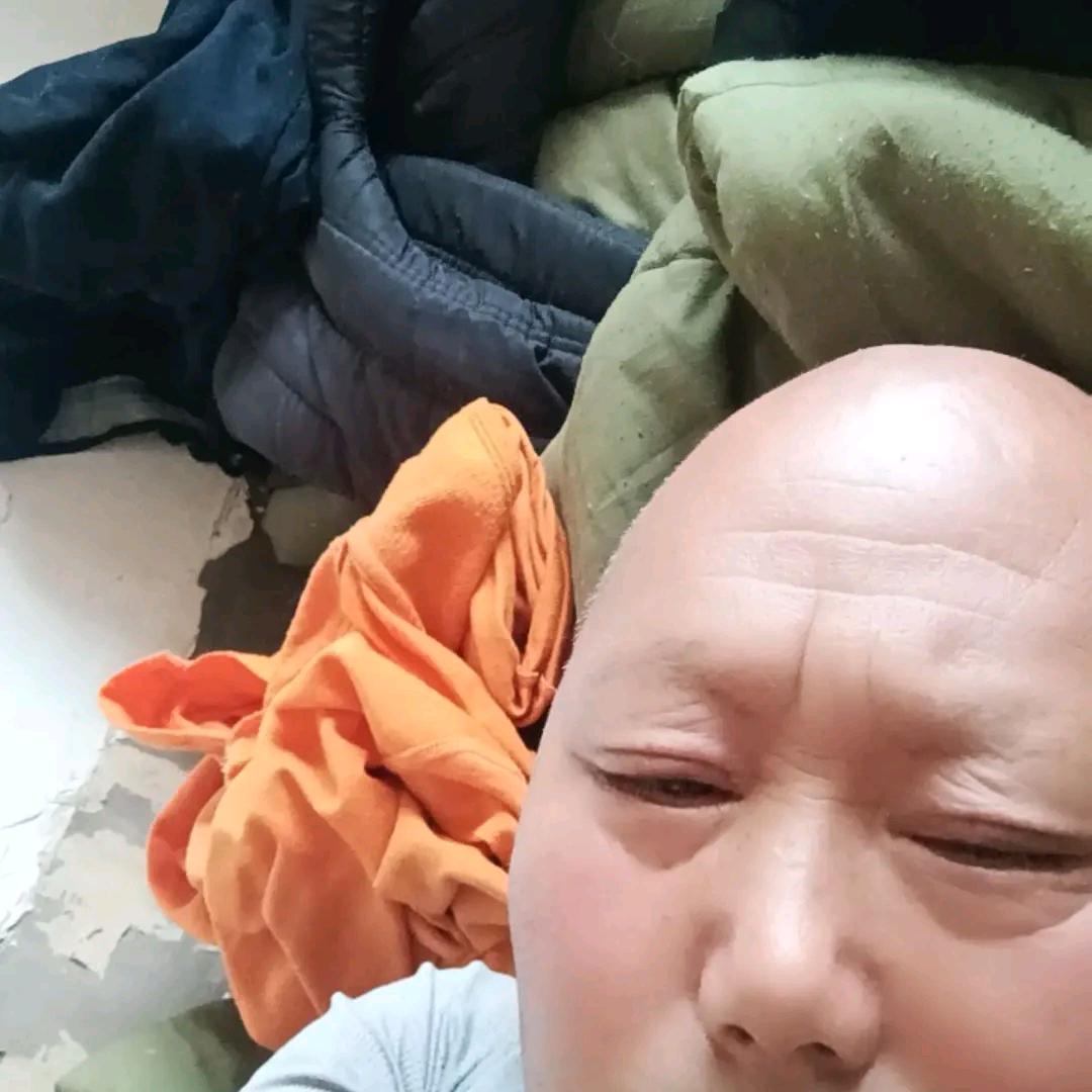 一飞成梦