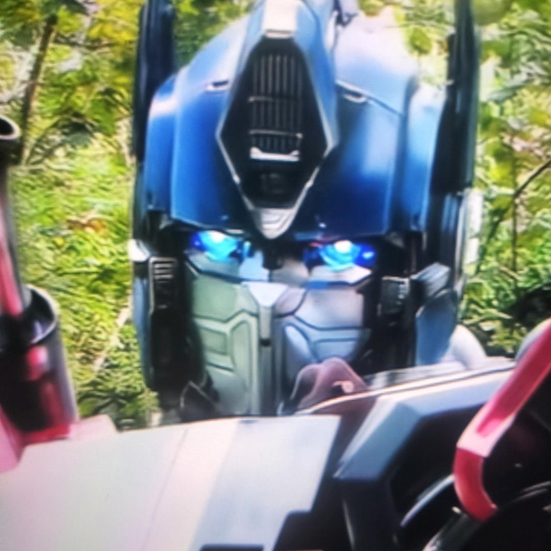 👄瞋瞋小仙女🧚‍♀️