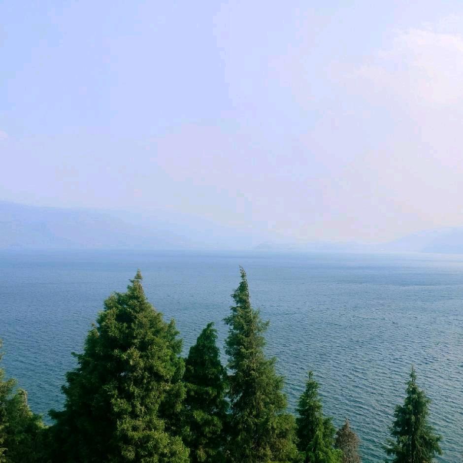 打不死的坚强、