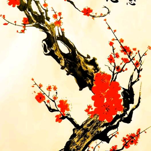 顾影自怜
