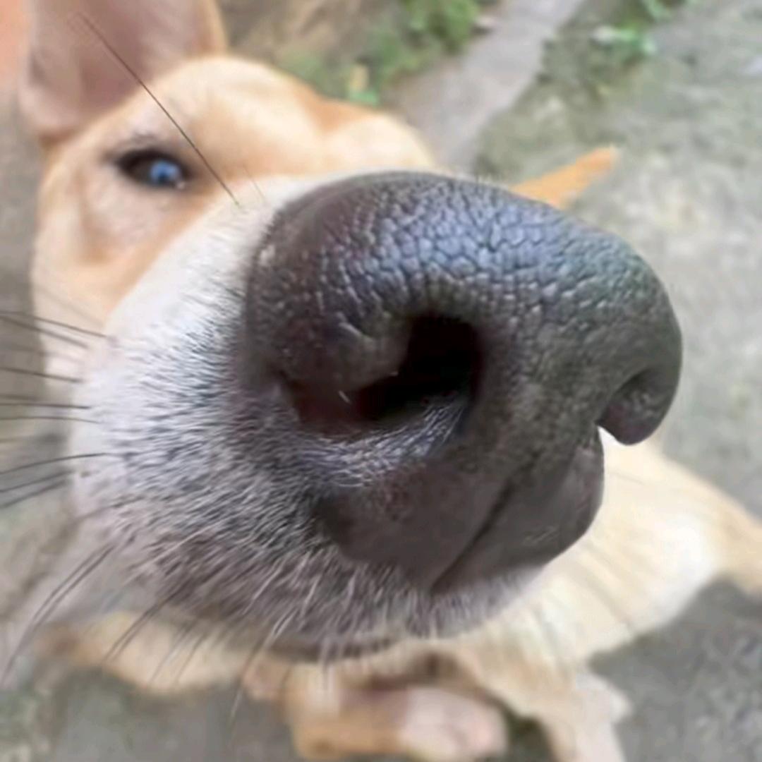 这扯不扯