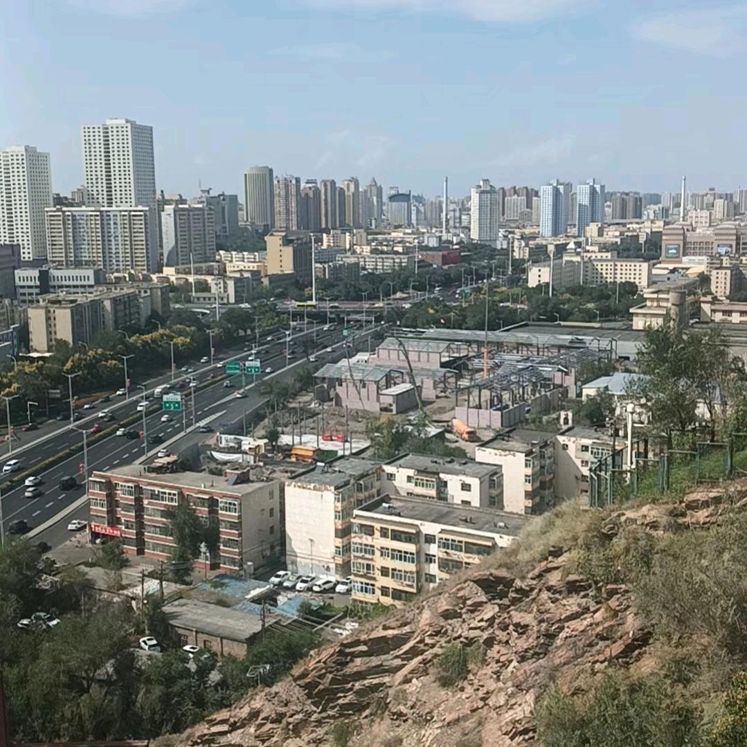 新疆提敏