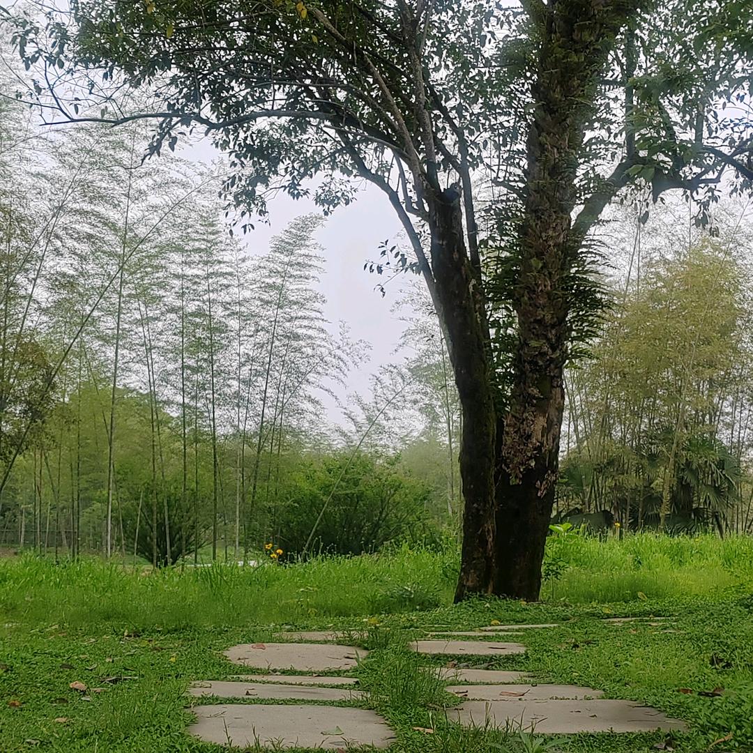 古往今来
