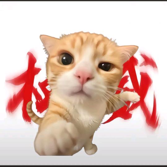 許秋安