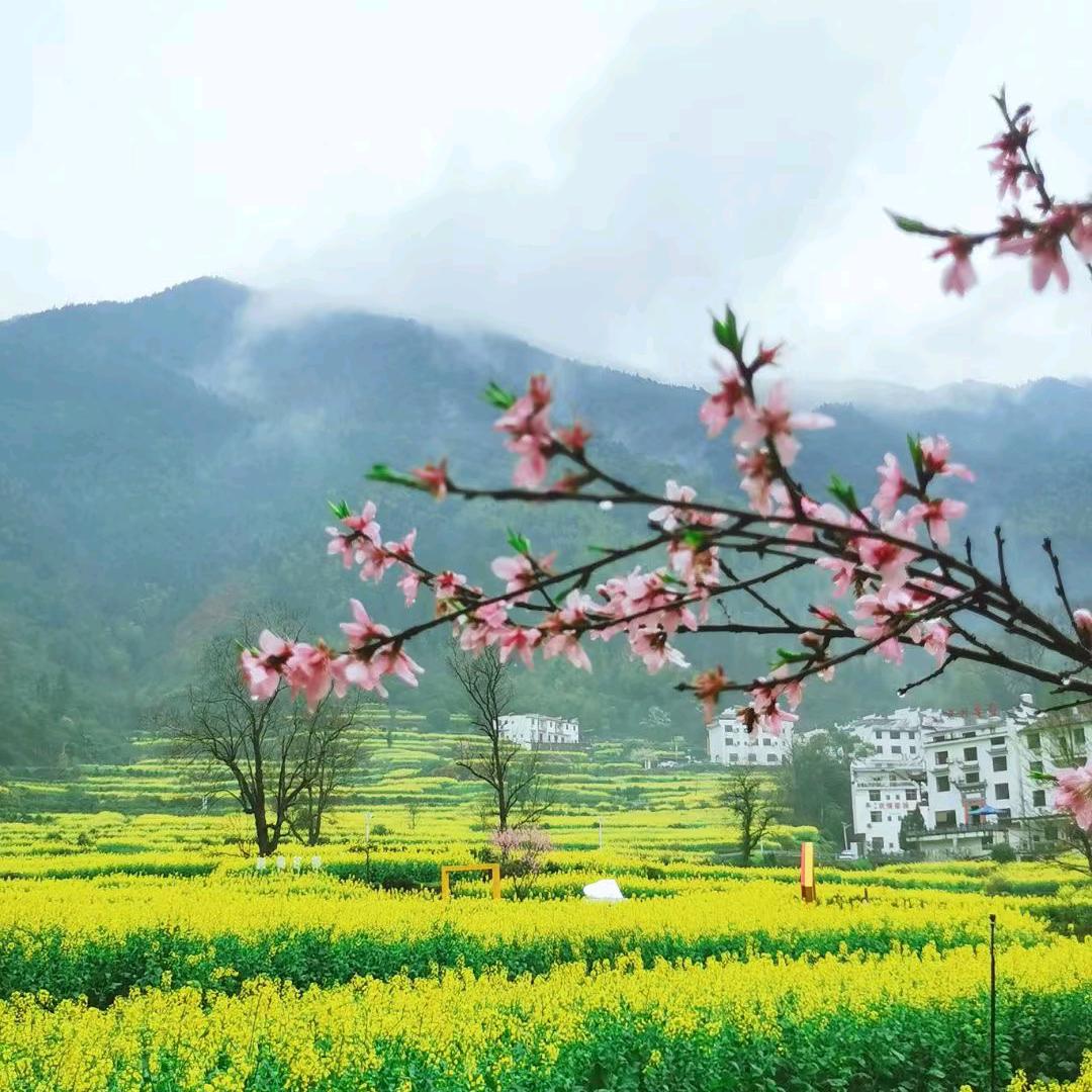 仙桥三号路烤鸡腿