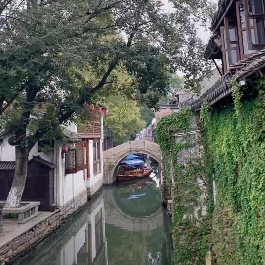 日丽