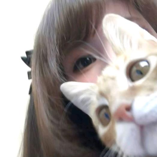不见清