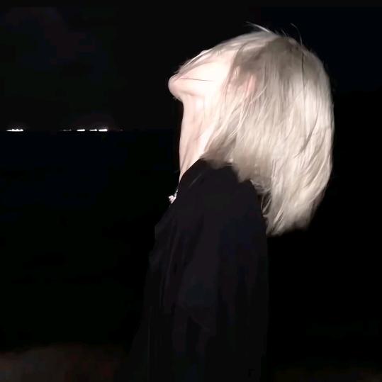 别碰我的双子头