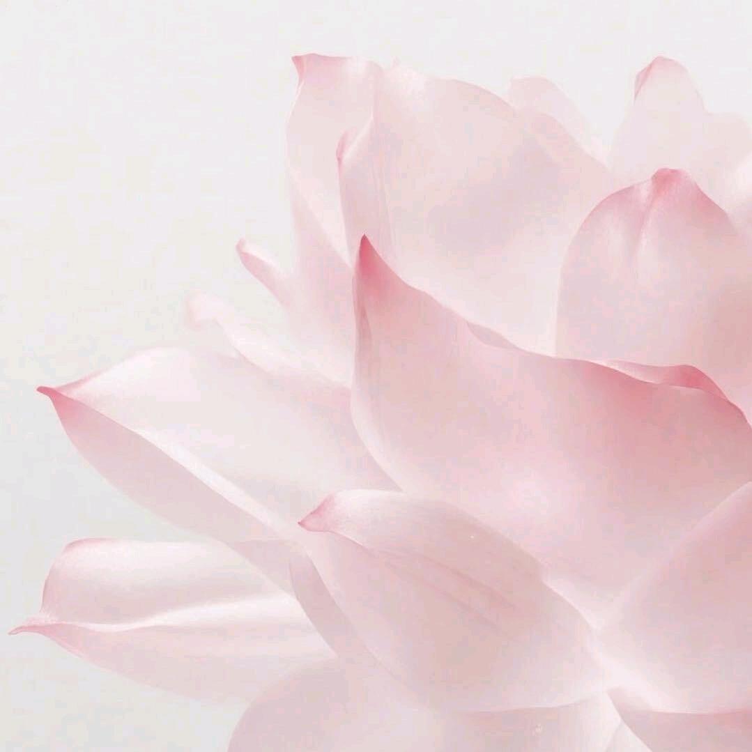 檀轩大同小包店