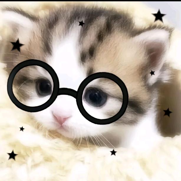 范喵喵(≧∇≦)