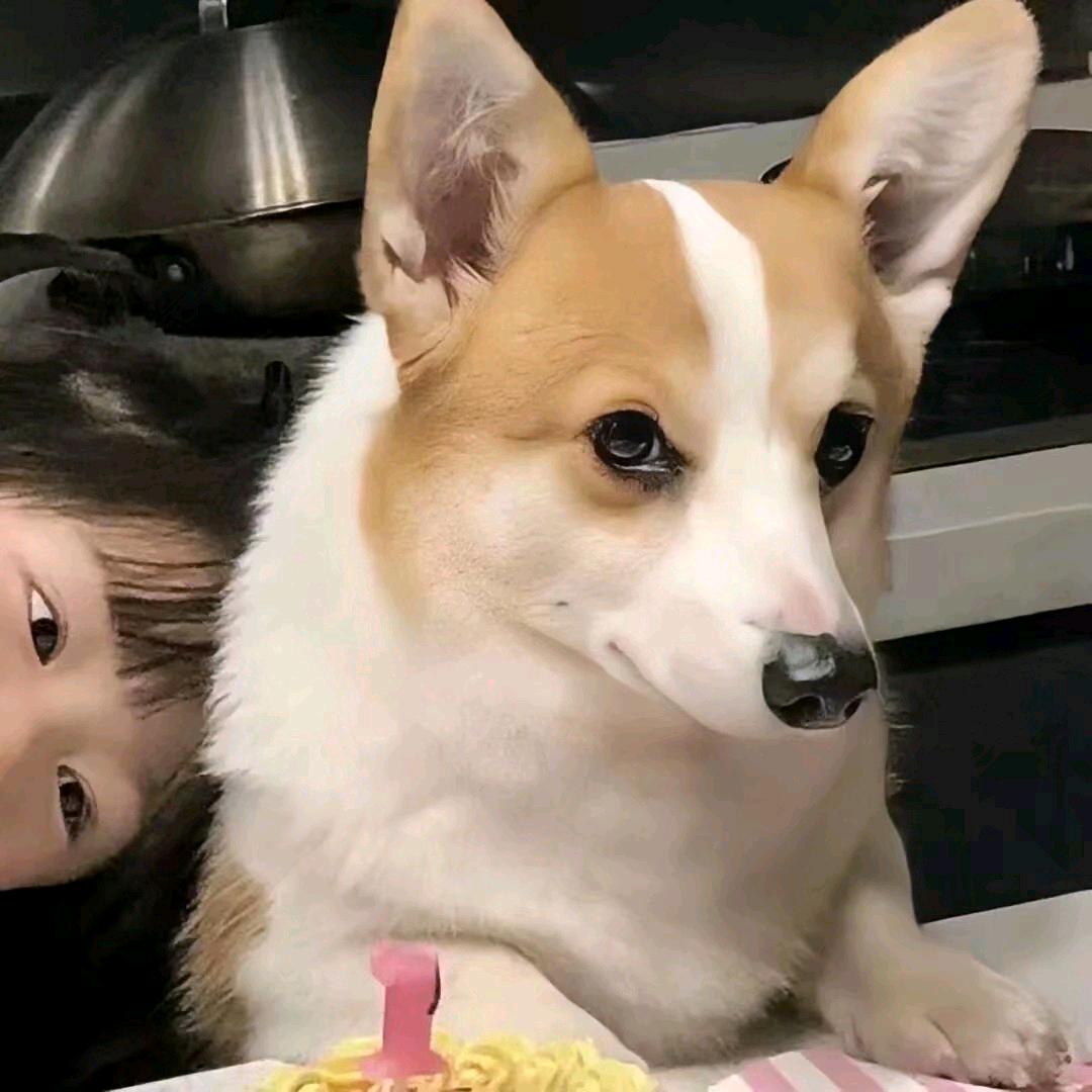 ℡残影◥