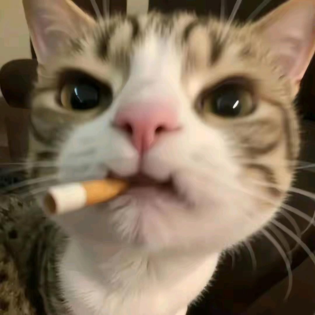 是你家隔壁热心的大王啊