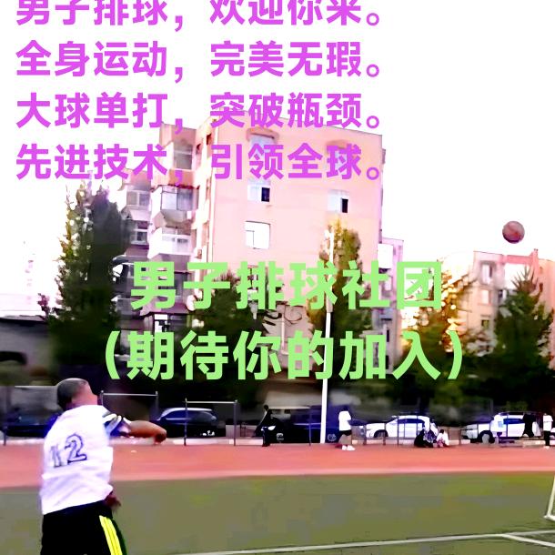 排球单打全网挑战。