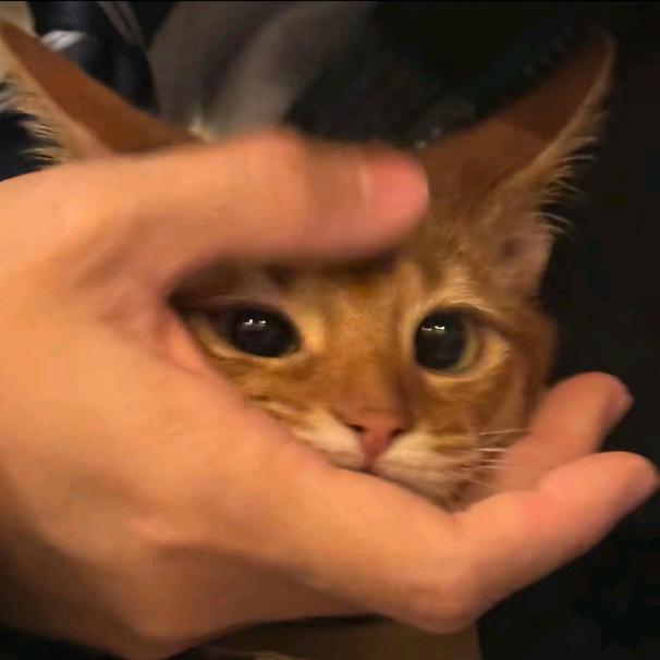 7tt