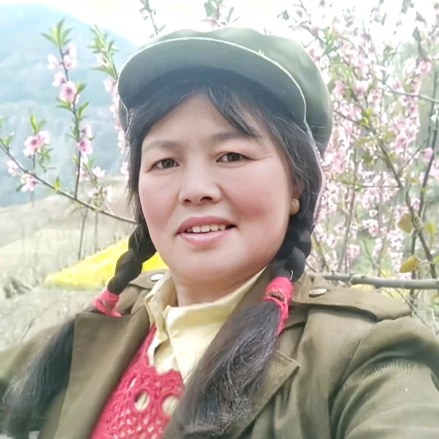 洪圆圆
