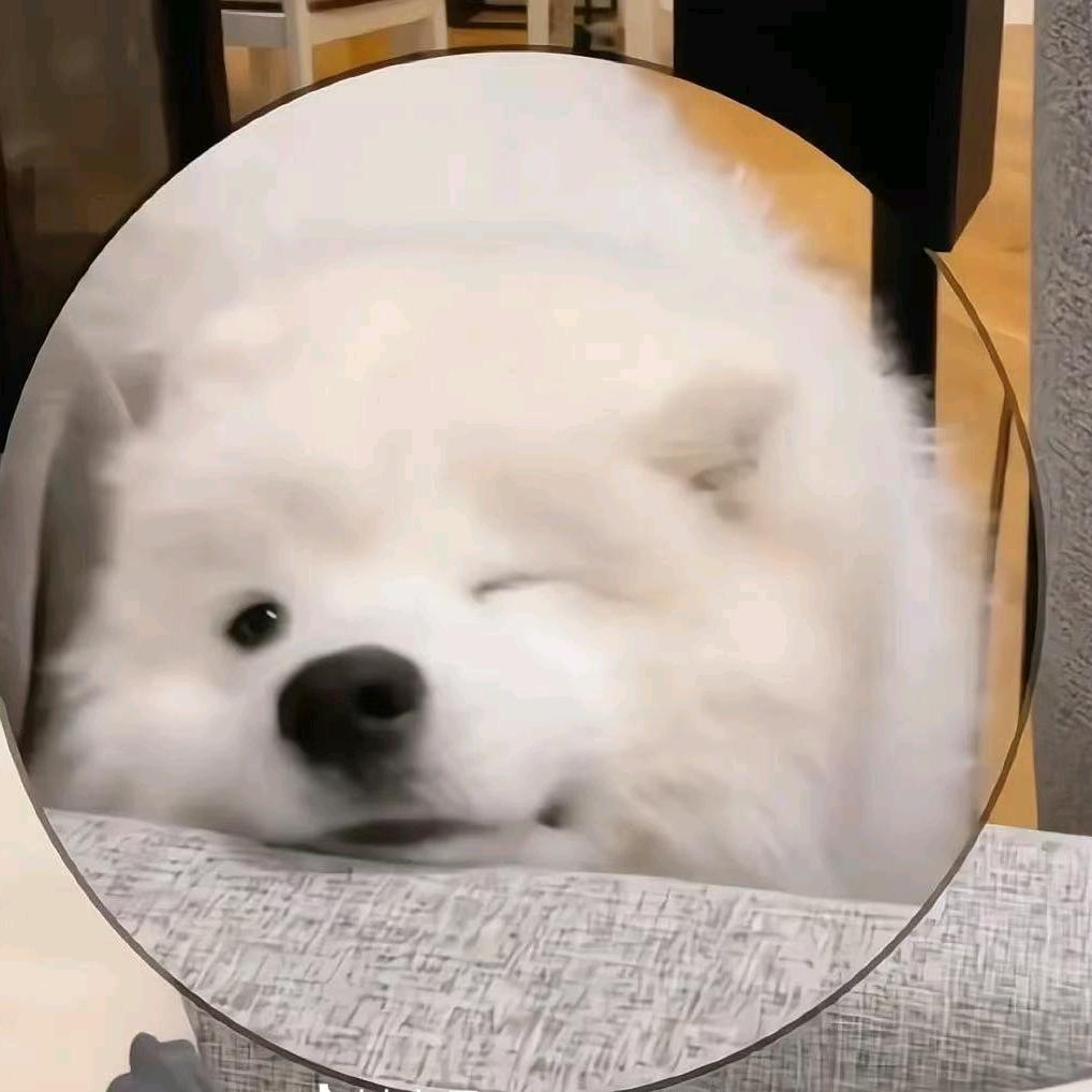 宠心宠物生活馆官方号