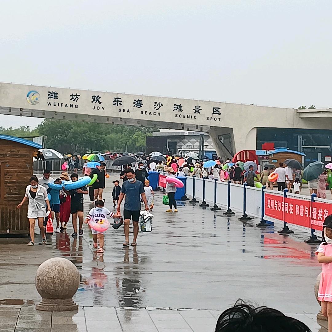 吴所不能