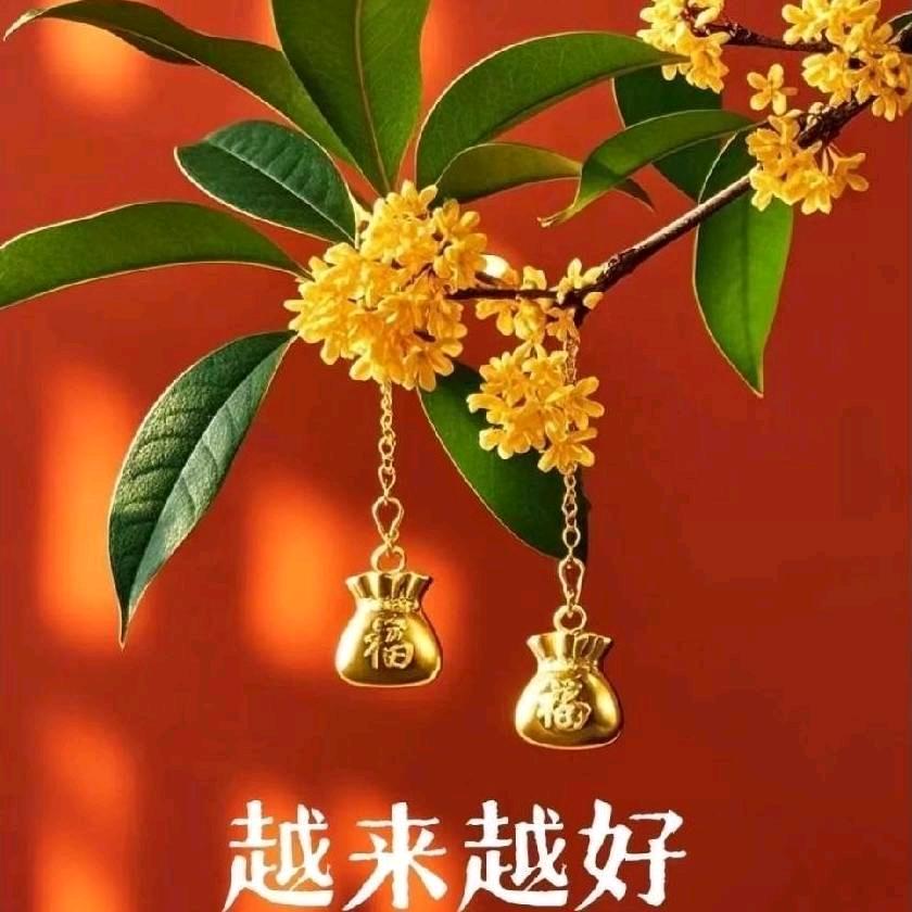 越来越好