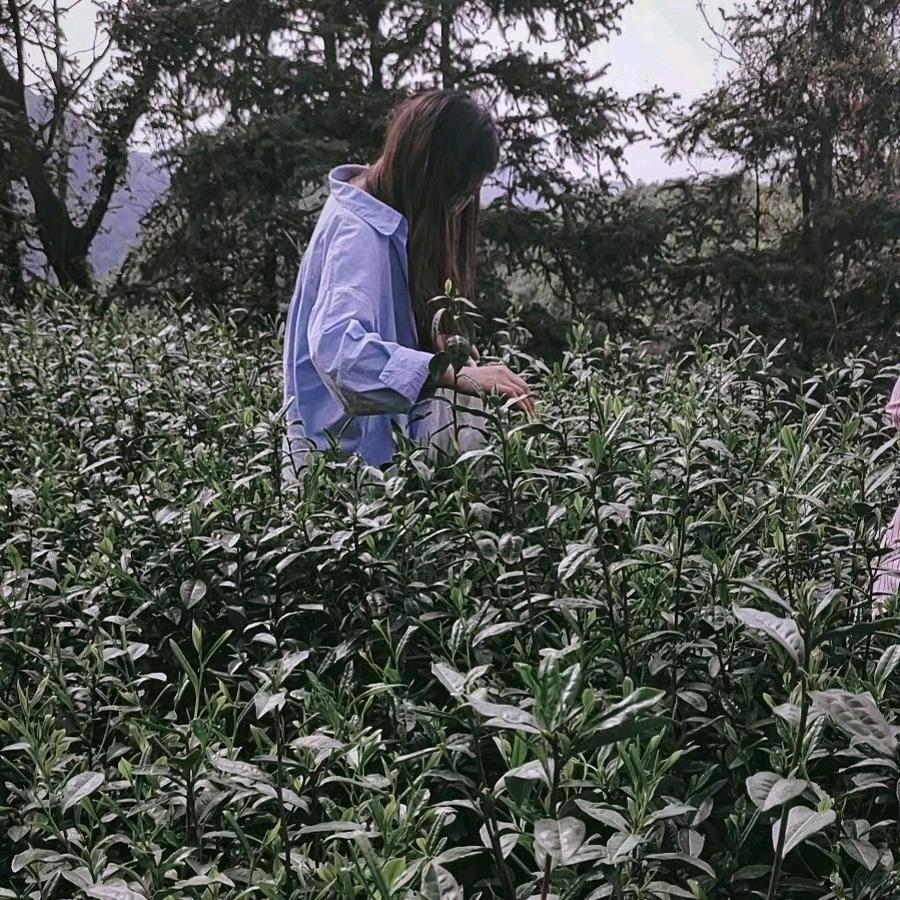 一碗八宝周
