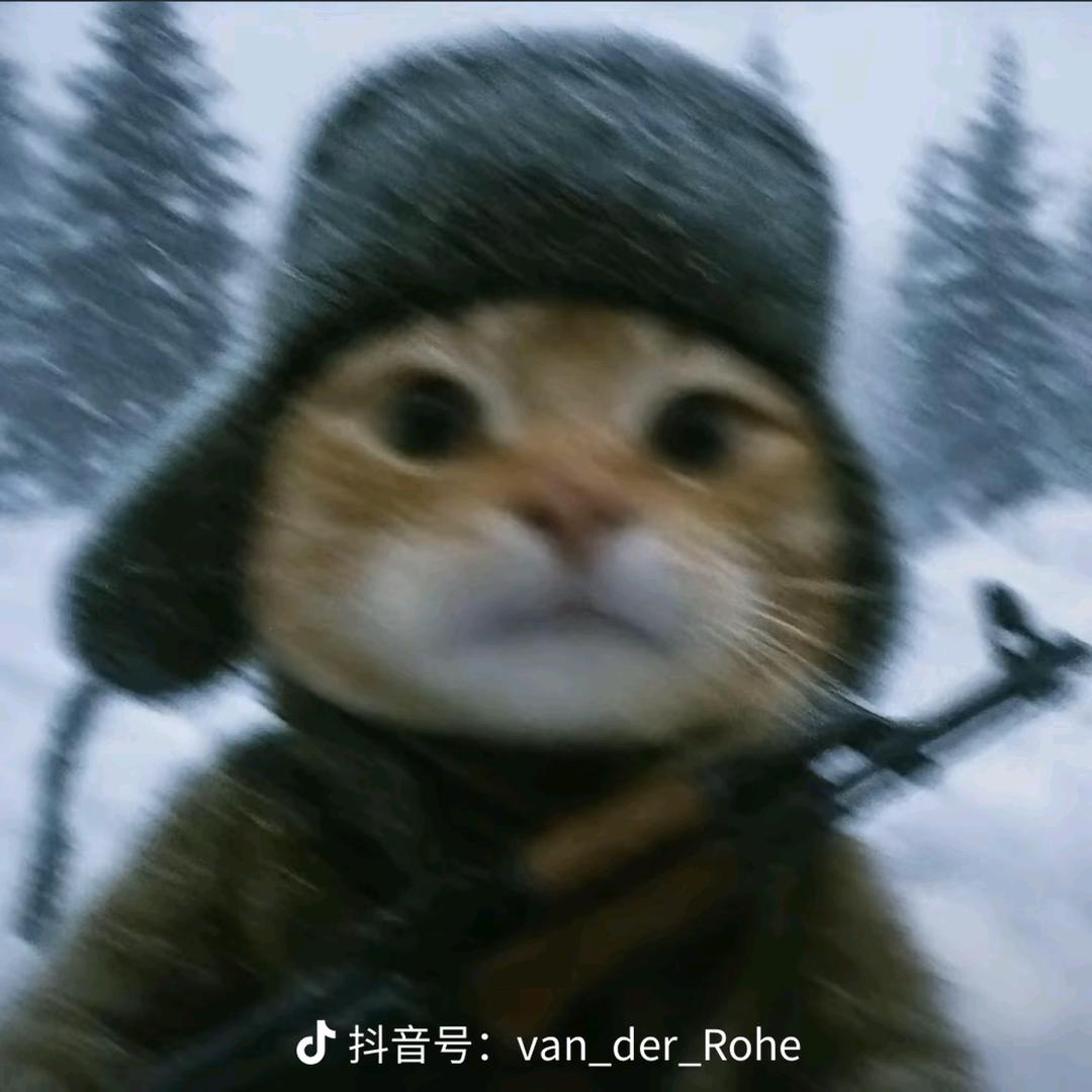 乖！莫愁 莫愁！