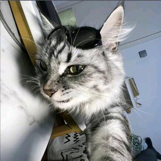 怼 怼