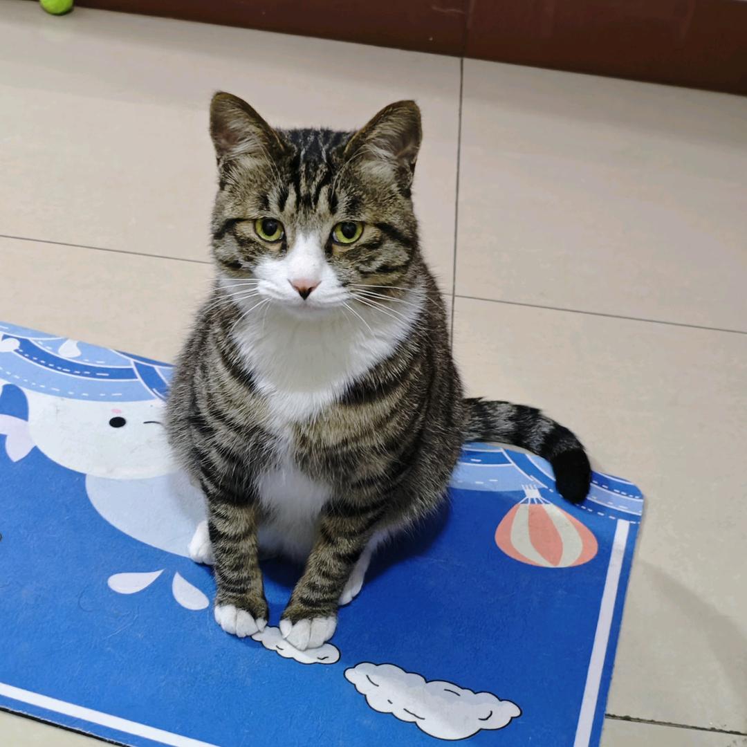 雷恩⫍ ⃢⃢👁 ܫ 👁⃢ ⫎