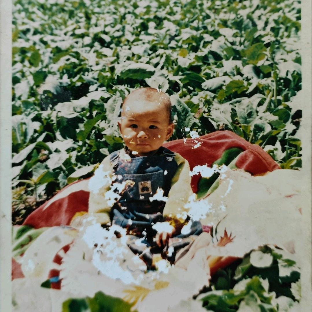 张湛怀