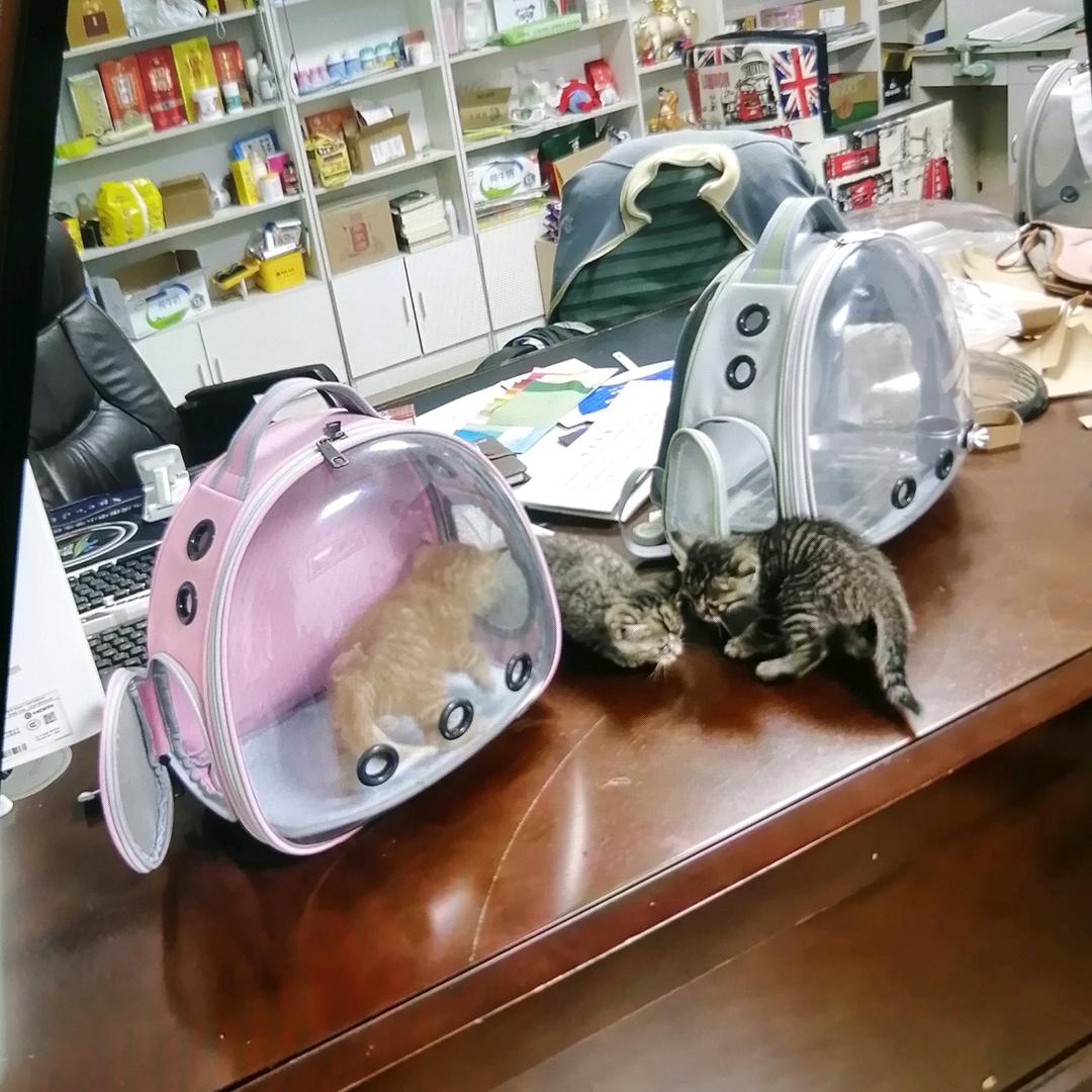 喵人缘宠物用品工厂