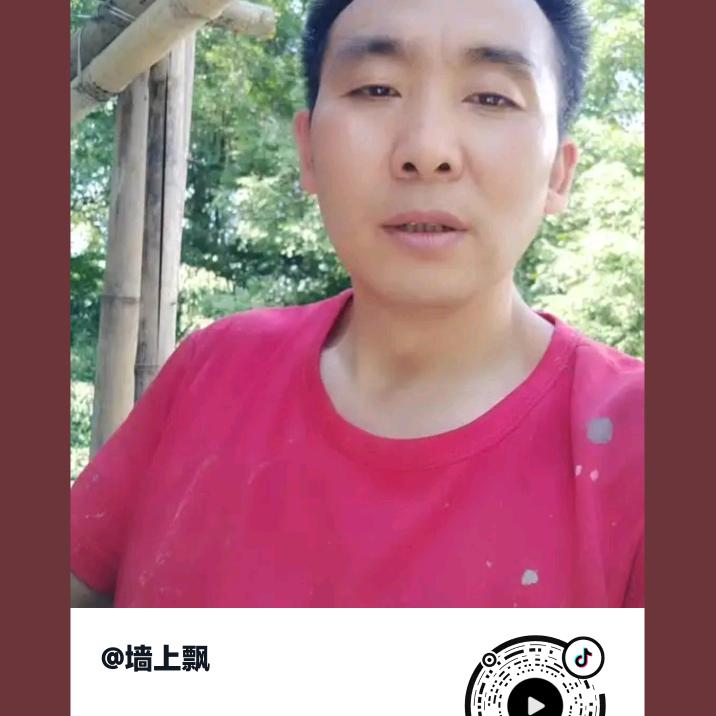 墙上飘