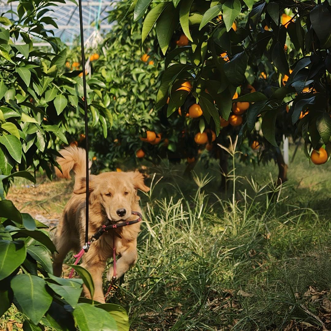 象山开通农场优品小铺