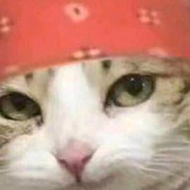 每天刷抖音