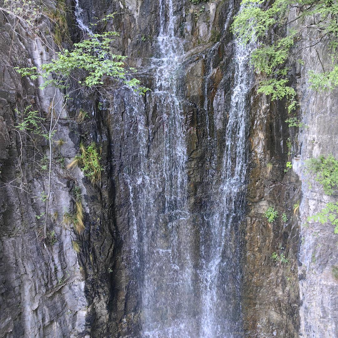 天津张柏芝