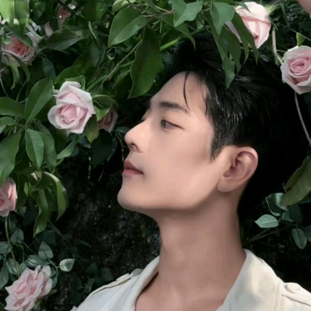 种草的宏奴奴