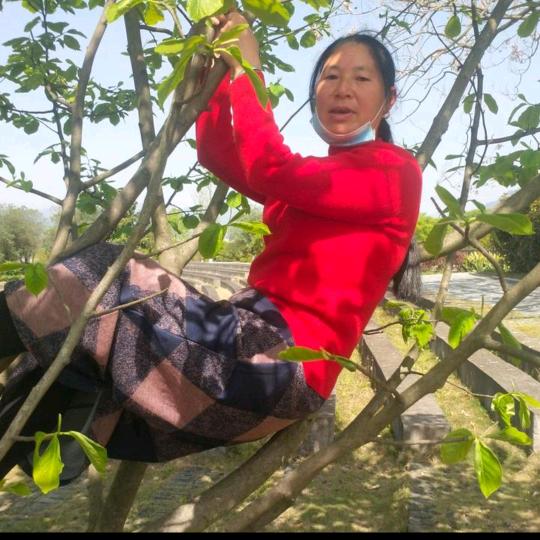 蓉姐