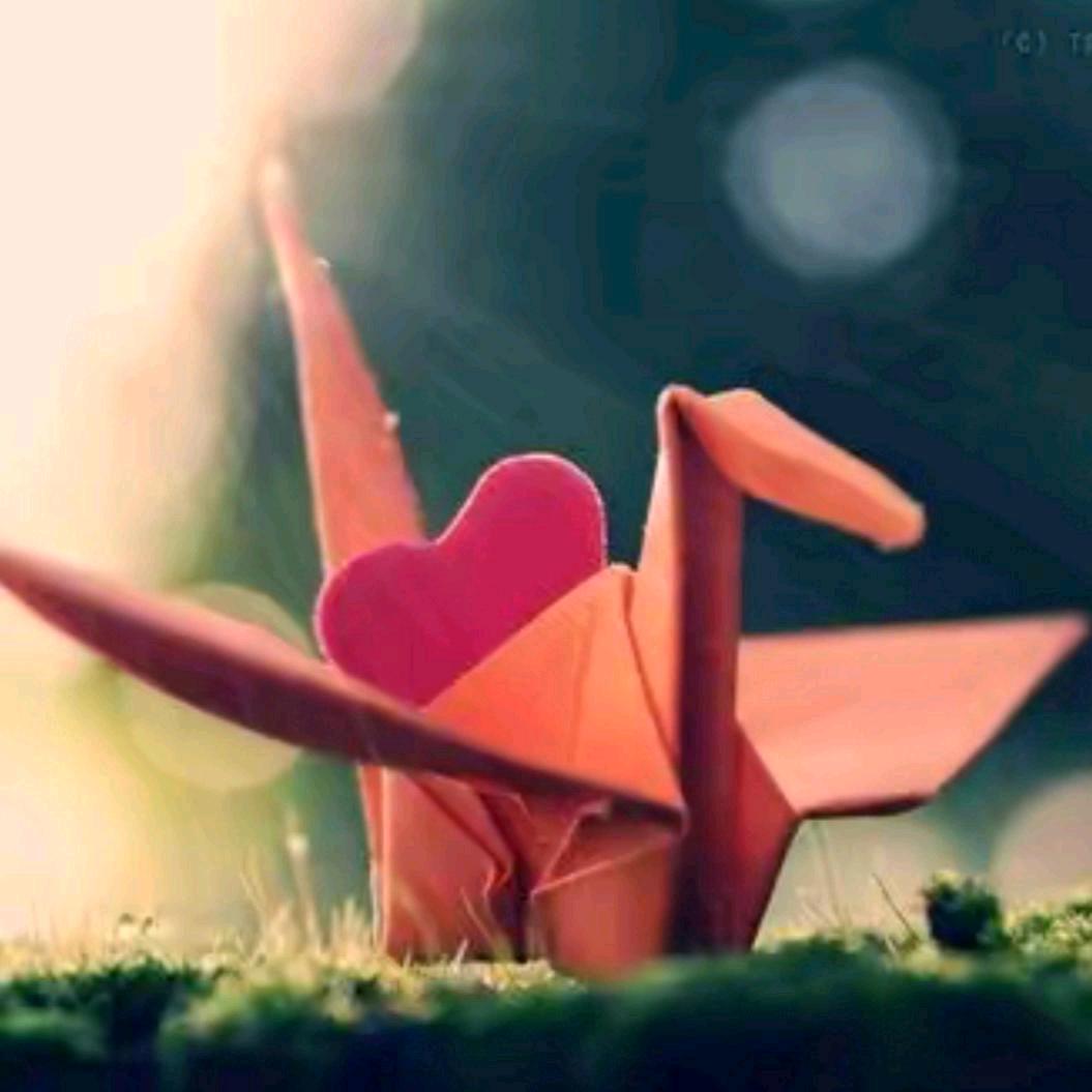 ꧔ꦿ℘一切💞᭄᪲ᩚ随缘꧔