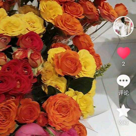 亡丽是垃圾，二面人，主动还给我打电话不配