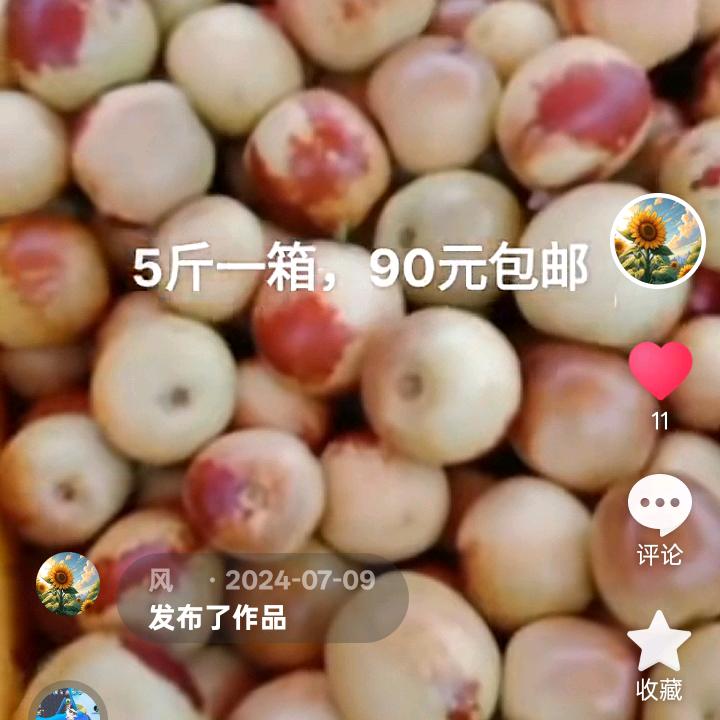 冬枣之乡