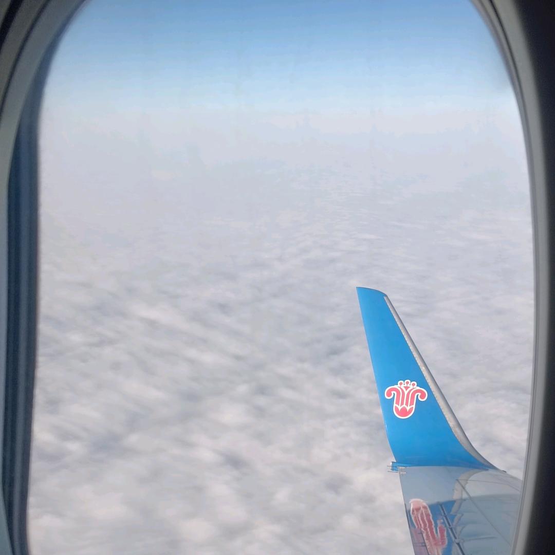 🕊꧔ꦿ᭄一薪ℒℴ一亿ѵℯ꧔ꦿ᭄