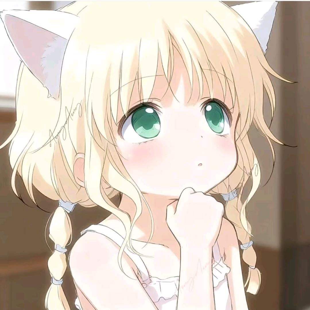 小猪入职+