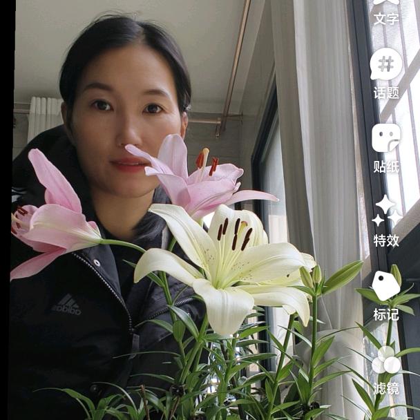 小朵瘦瘦花