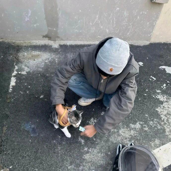 困了会睡觉