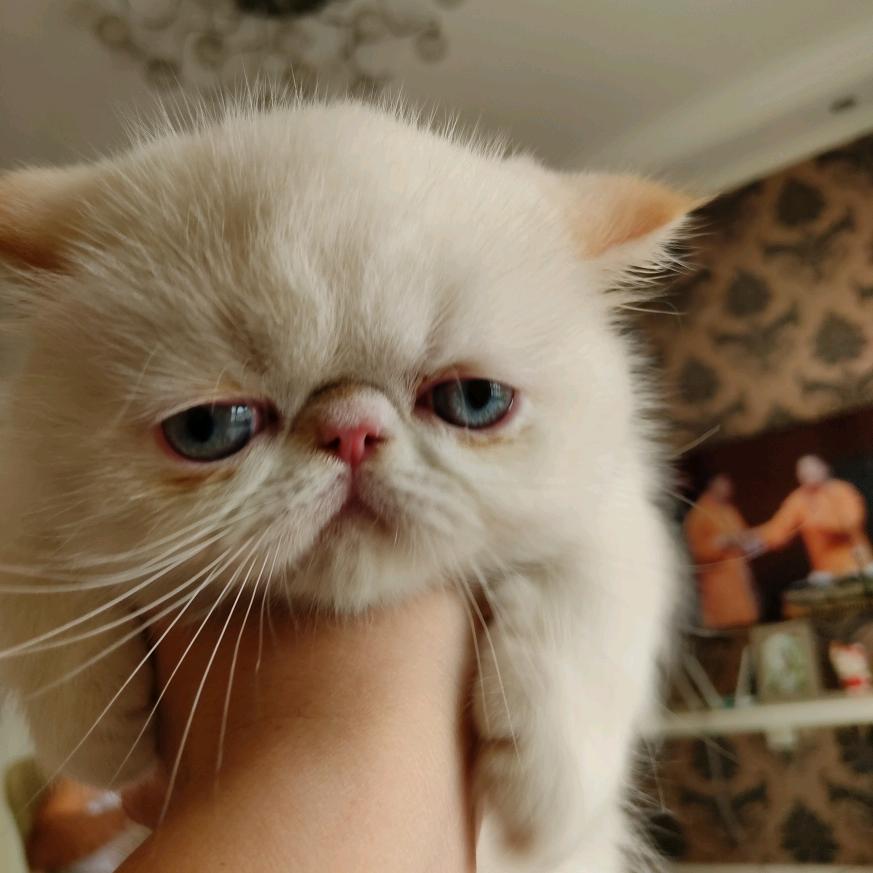 不挨饿能减肥就好了