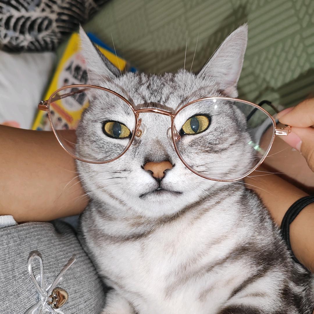 蓝梦