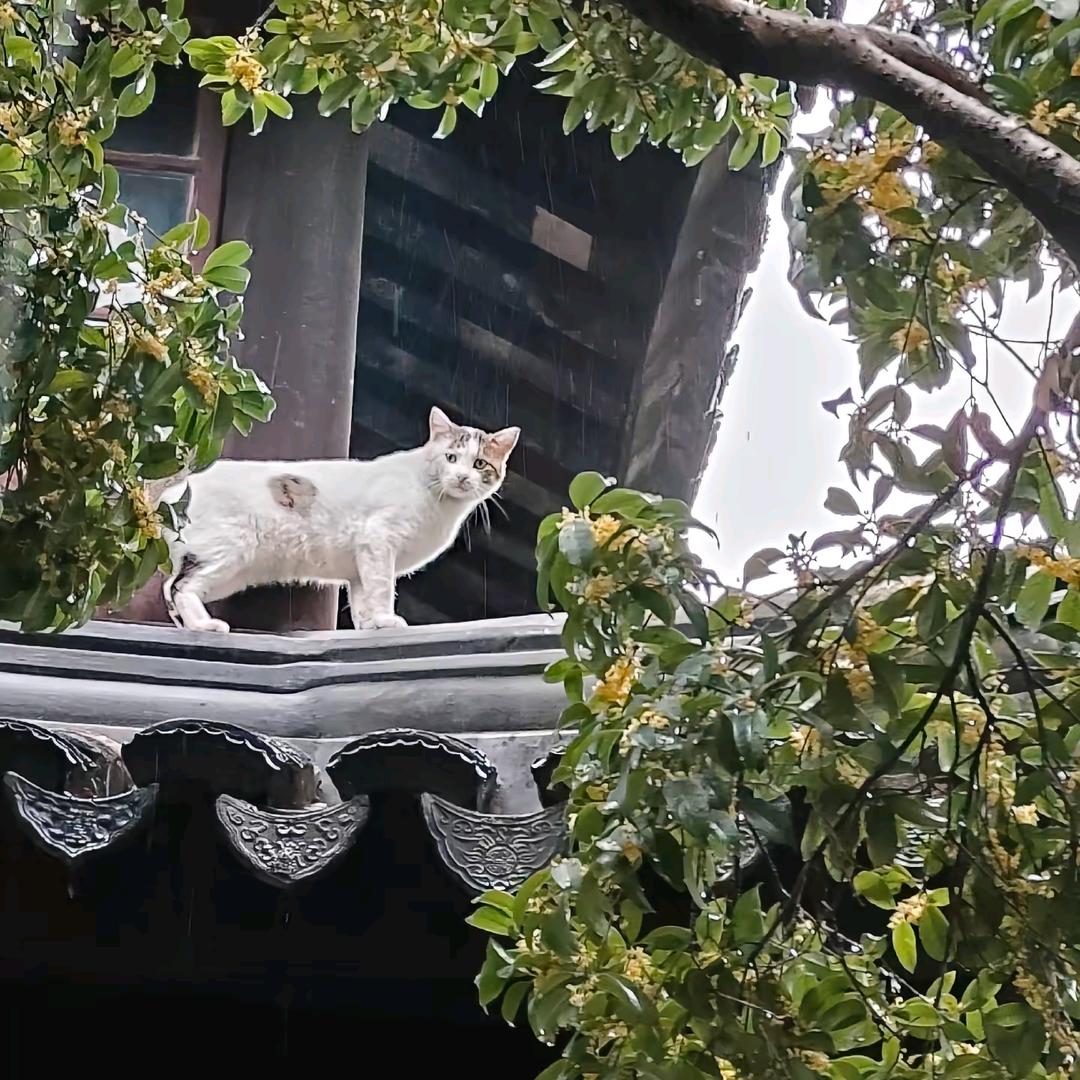 郴山