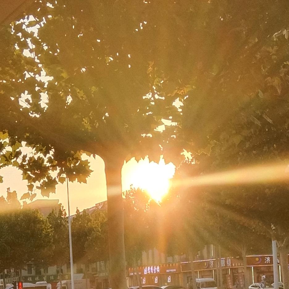 悦┌(・。・)┘♪