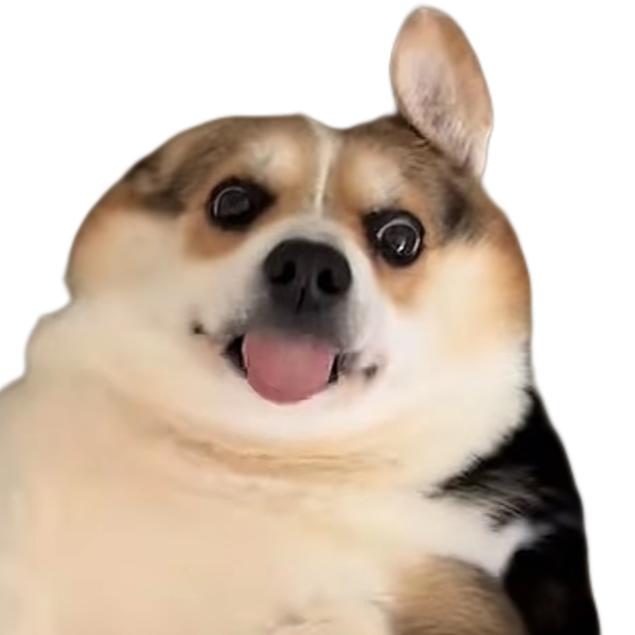 芗韵
