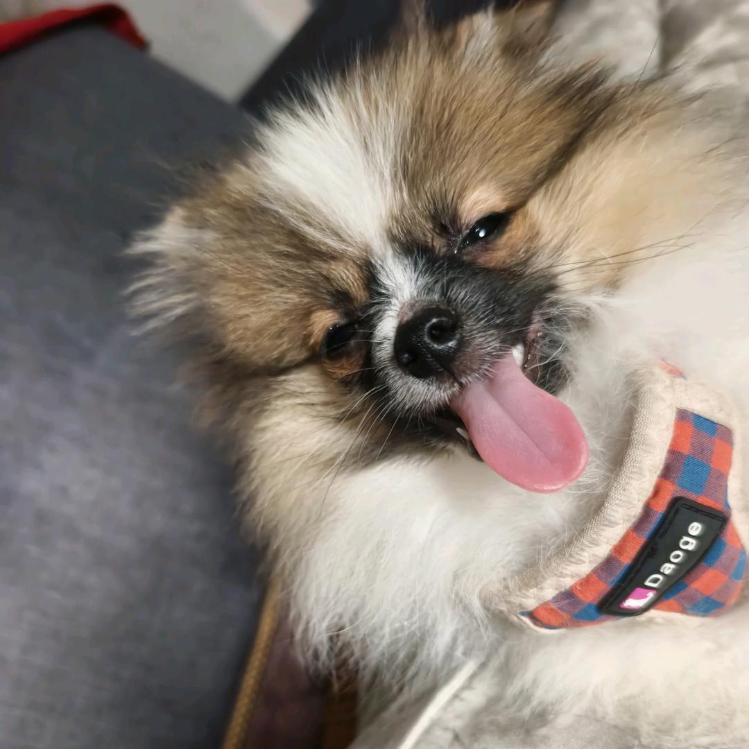 蔷薇无毒😜但不可碰😜
